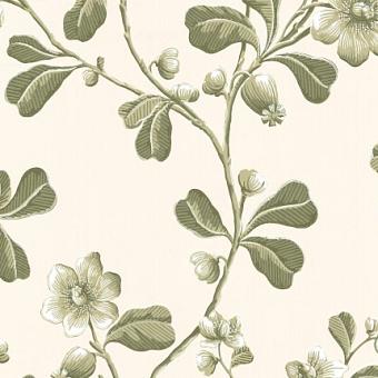 Флизелиновые обои Little Greene 0277BRGARDE коллекции London Wallpapers IV